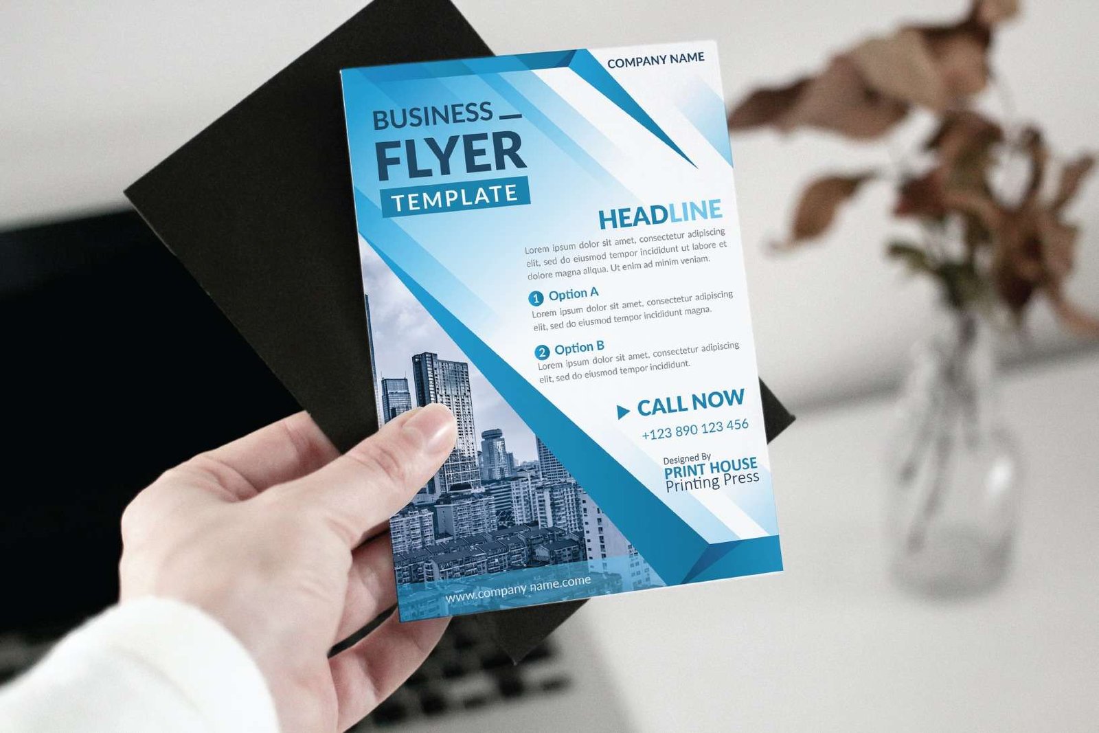 flyer1